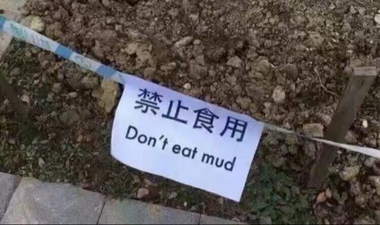 沒有困難的雙十一，只有不努力做題的打工人