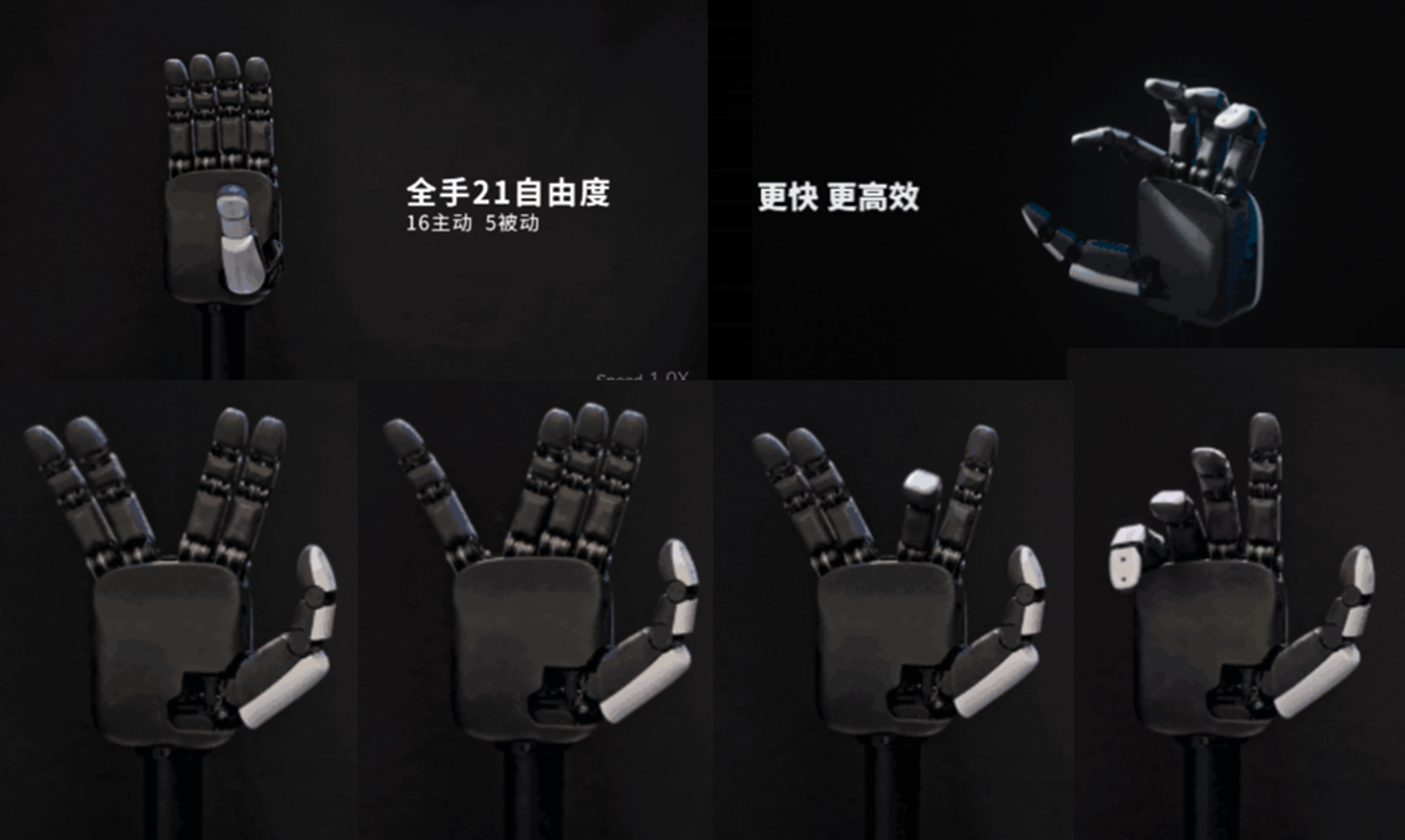 1758010324255834.png 27.png