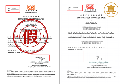 假冒 EagleTrader 行為為何層出不窮？平臺梳理信息被“高仿”的關鍵環節